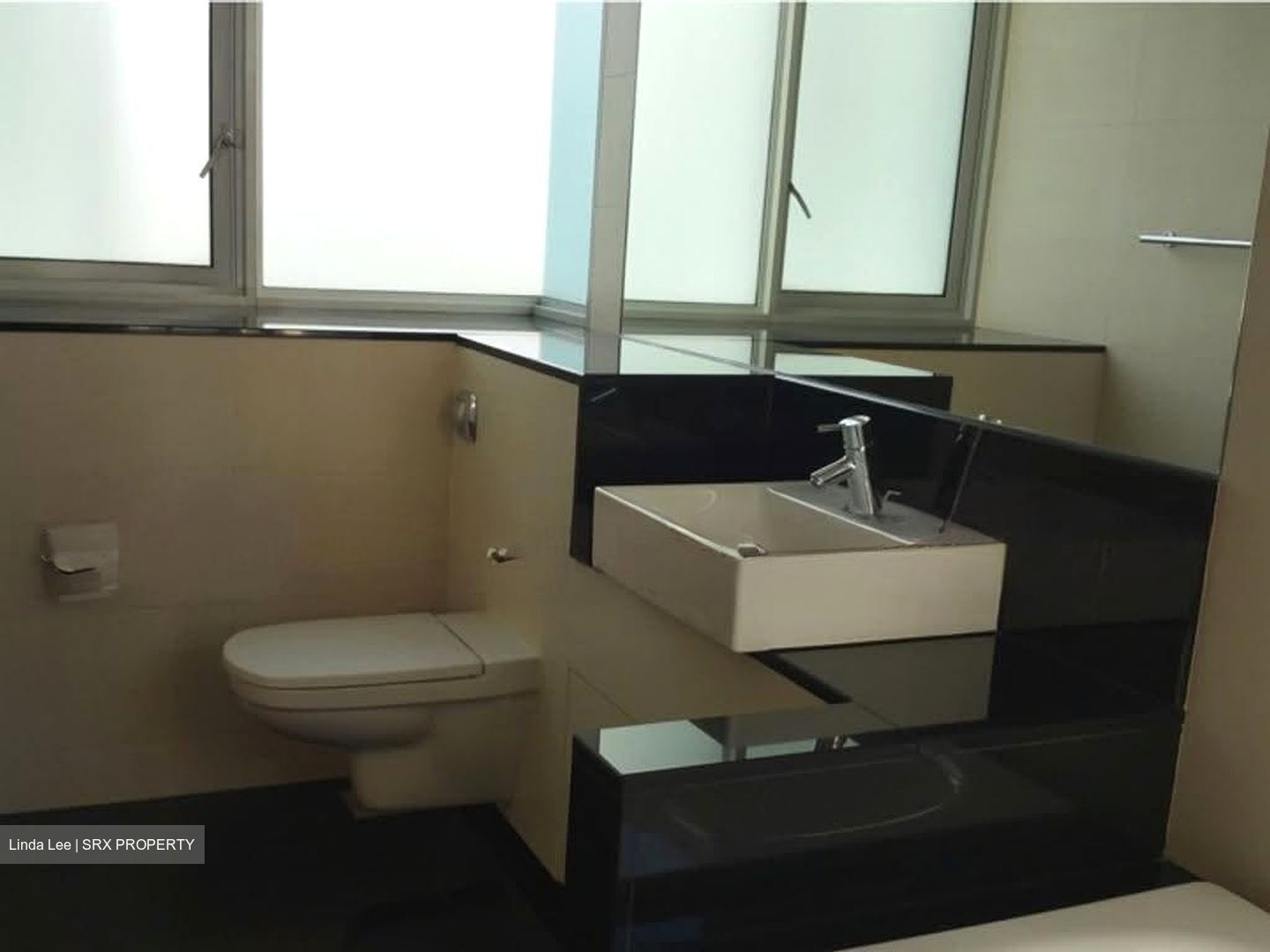 Twin Regency (D3), Condominium #615183841